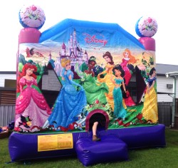 Themed Jumping Castles