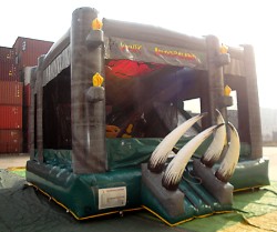 Themed Jumping Castles