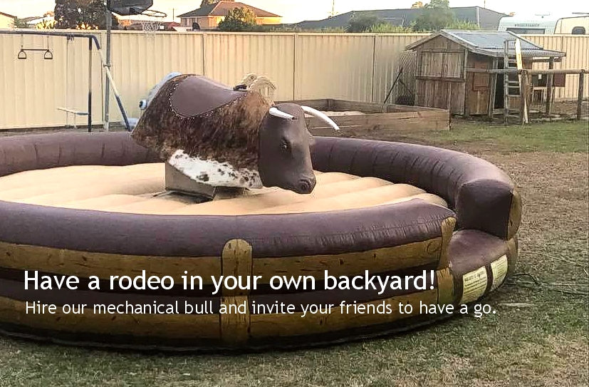 Mechanical  Bull